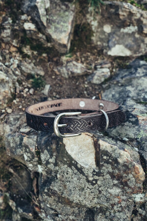 Collier de chien "Maddox" avec poinçon celtique