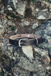 Collier de chien "Maddox" avec poinçon celtique