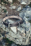 Collier de chien "Maddox" avec poinçon celtique