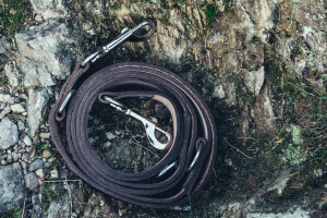 Dog leash "Ferris" with celtic embossing