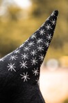 Hexenhut "Star"