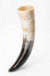 Wikinger Trinkhorn "Odin"