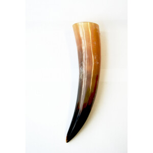 Drinking horn, approx. 0.3 l